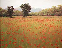 Painting: Poppy Fields, by Gordon Haas