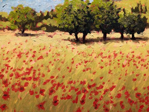 TUSCAN POPPIES