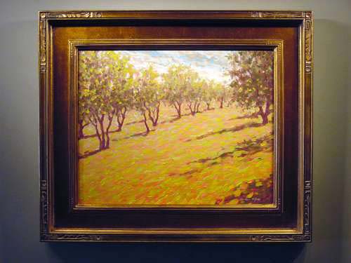 Olive Grove