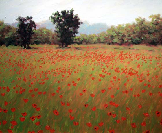 THE POPPY FIELDS